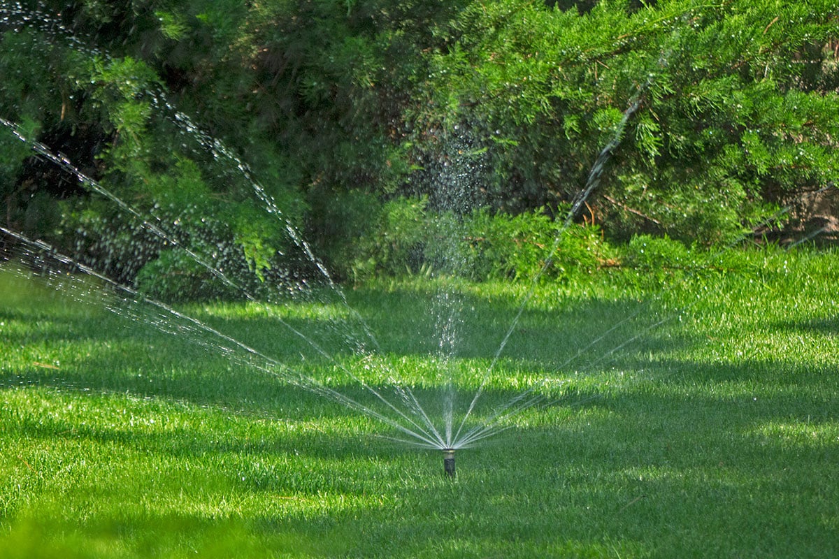 Landscape showing MP rotator