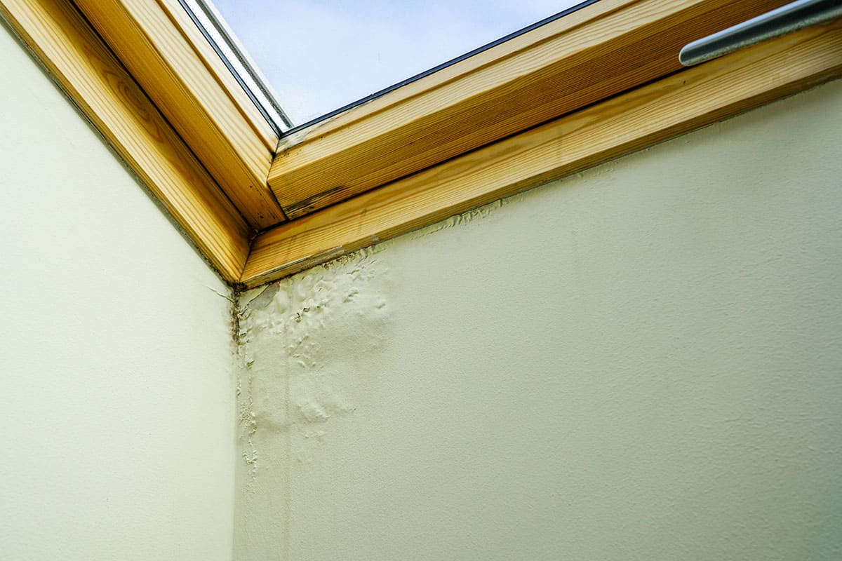Water damage on a wall, caused by leaky framing on a skylight