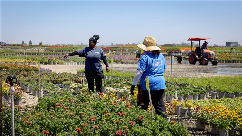 two employees working in the field