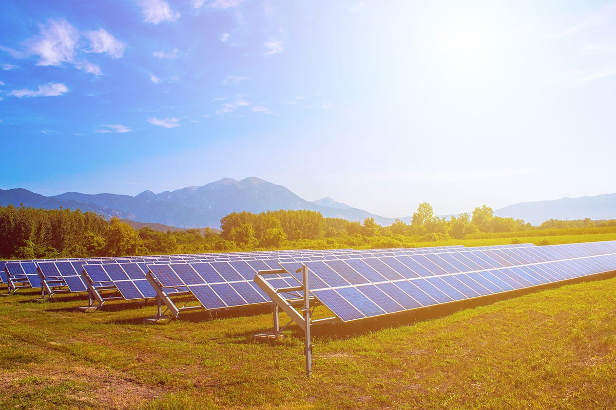 Several long rows of solar panels, situated in a meadow, on a sunny day