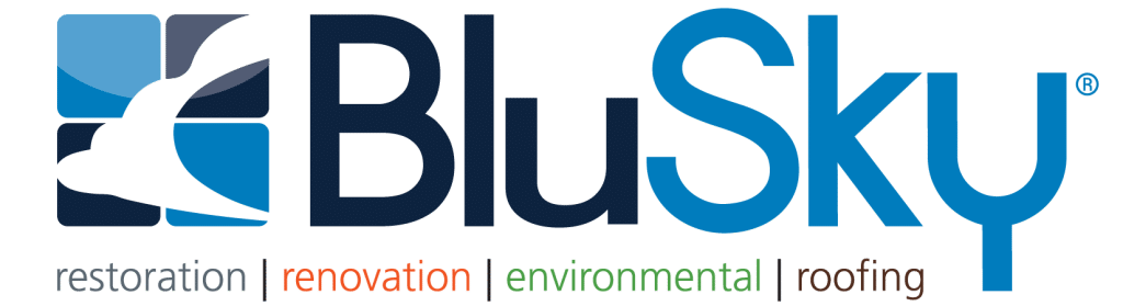 BluSky logo